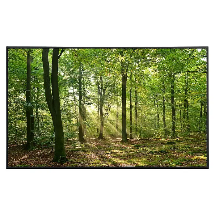 Papermoon Infrarot-Bildheizkörper Forest Morgen - 120 x 60 cm, 1.000 W - Malerischer Blick auf einen Wald mit Sonnenstrahlen, die durch das dichte Blätterdach scheinen und eine friedliche Atmosphäre schaffen.