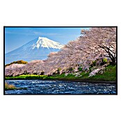 Papermoon Infrarot-Bildheizkörper Fuji und Sakura (120 x 60 cm, 1 000 W) | BAUHAUS