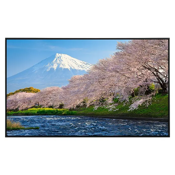 Papermoon Infrarot-Bildheizkörper Fuji und Sakura - 90 x 50 cm, 450 W - Das Bild zeigt einen Fernseher mit einer atemberaubenden Landschaft von blühenden Kirschbäumen vor dem majestätischen Berg Fuji.