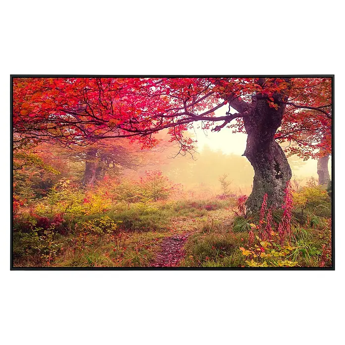 Papermoon Infrarot-Bildheizkörper Herbstbäume 1 - 60 x 50 cm, 350 W - Herbstliche Waldszene mit rotem Laub und Nebel bietet eine malerische Aussicht.