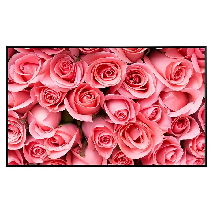 Papermoon Infrarot-Bildheizkörper Rosa Rosenblumen - 120 cm x 600 mm, 1.000 W - Nahaufnahme eines Bouquets aus vielen rosa Rosen mit unterschiedlichen Öffnungsgraden, präsentiert als stilvolles Blumenarrangement.