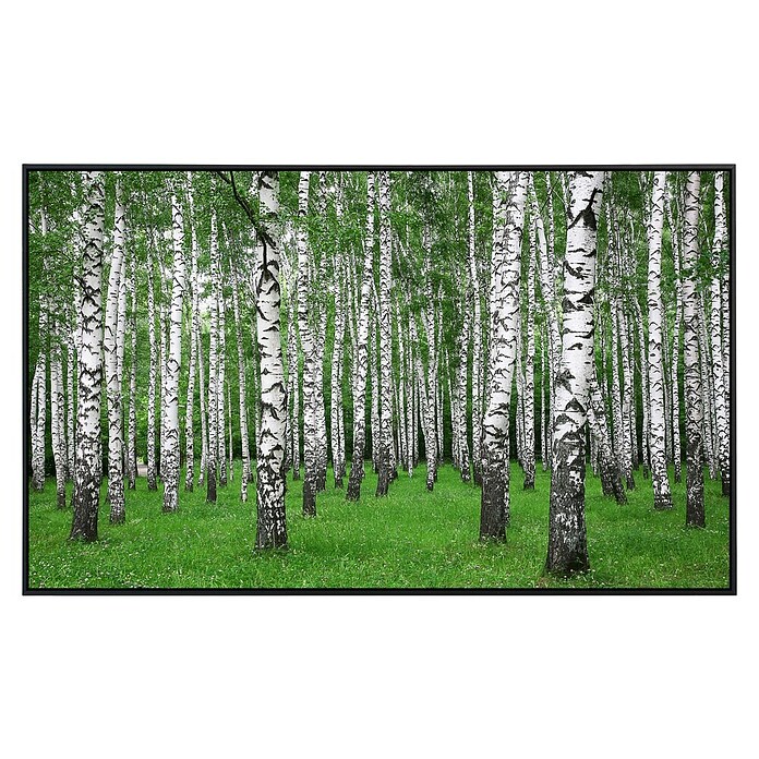 Papermoon Infrarot-Bildheizkörper Birkenwald im Sommer (600 x 500 mm, 350 W) | BAUHAUS