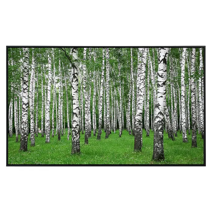 Papermoon Infrarot-Bildheizkörper Birkenwald im Sommer - 100 cm x 600 mm, 600 W - Birkenwald in lebendigen Farben, ideal für Wandkunst. Die weißen Stämme und das grüne Blätterdach schaffen eine ruhige Atmosphäre.