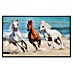 Papermoon Infrarot-Bildheizkörper Horse Herd Run Galopp 
