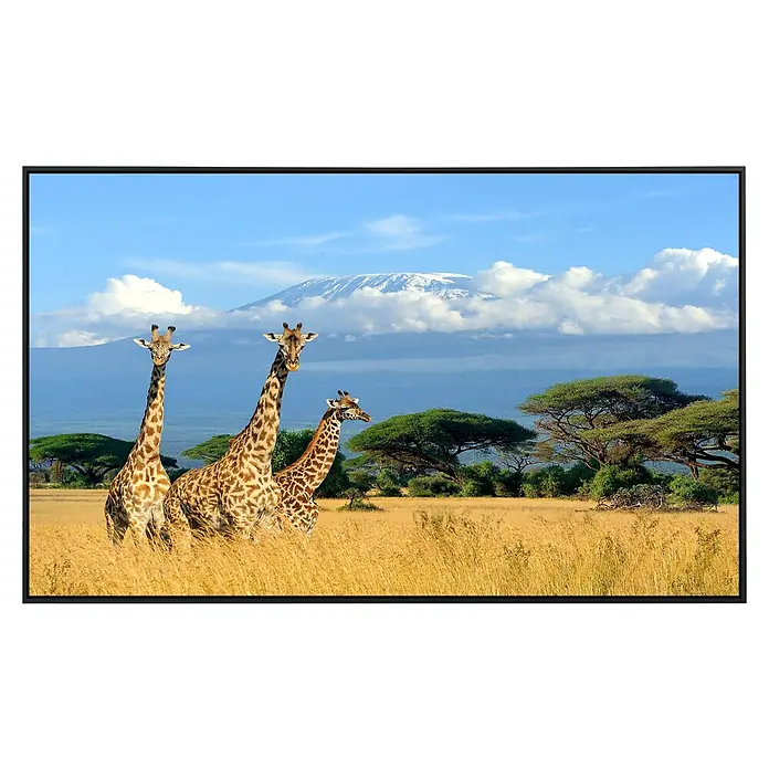 Papermoon Infrarot-Bildheizkörper Giraffen am Kilimandscharo - 120 cm x 600 mm, 1.200 W - Ein atemberaubendes Bild von drei Giraffen in der afrikanischen Savanne, mit dem majestätischen Kilimandscharo im Hintergrund. Die perfekte Wanddekoration.