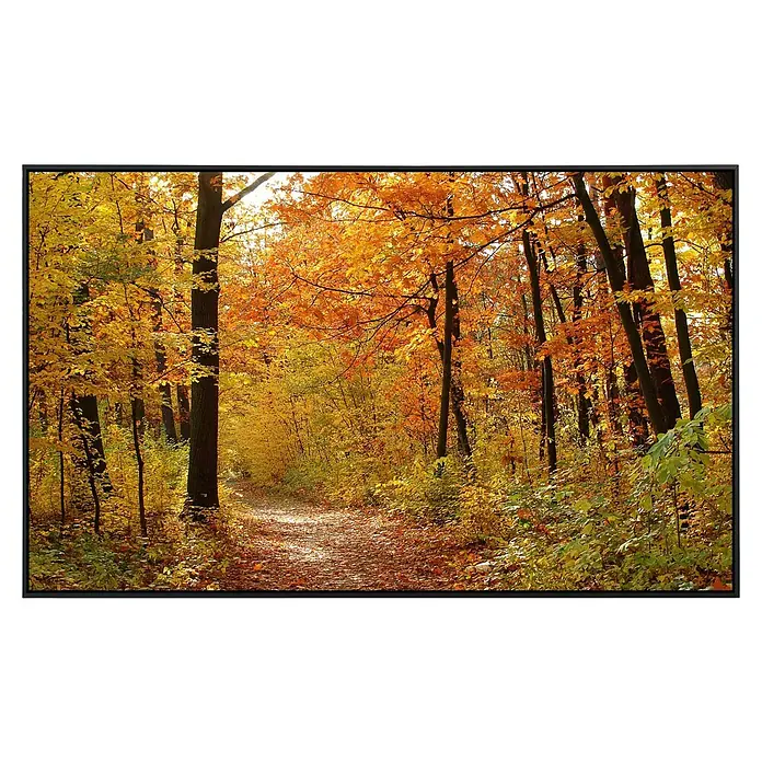 Papermoon Infrarot-Bildheizkörper Autumn Forest - 120 cm x 600 mm, 1.200 W - Malerischer Herbstwaldweg mit bunten Blättern in warmen Gelb- und Orangetönen, gerahmt von dunklen Baumstämmen und üppiger Vegetation.