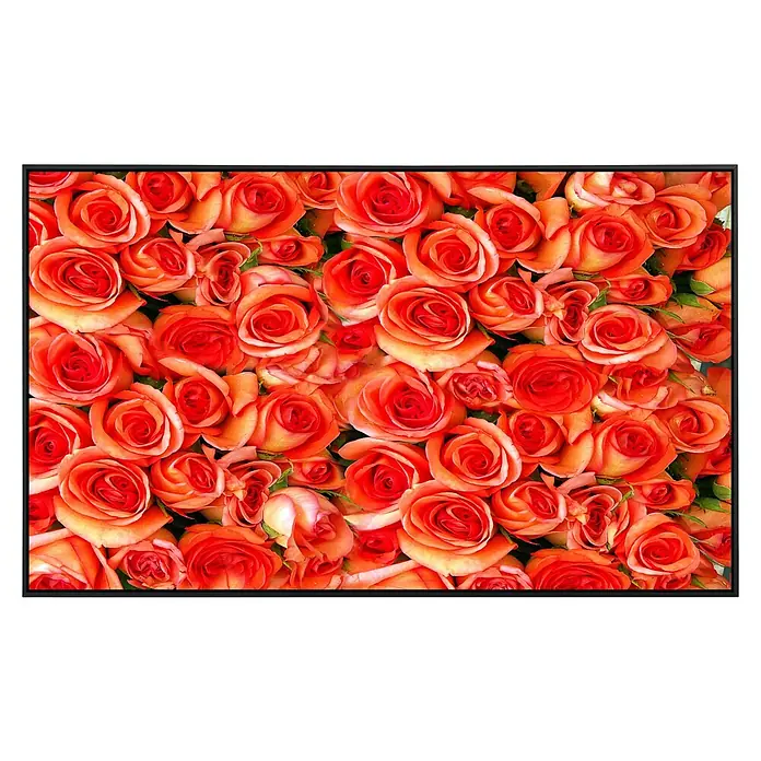 Papermoon Infrarot-Bildheizkörper Orangenrosen - 60 x 50 cm, 350 W - Nahaufnahme eines Gemäldes mit einer Vielzahl von roten und orangefarbenen Rosenblüten in einem schwarzen Rahmen.