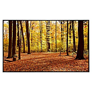 Papermoon Infrarot-Bildheizkörper Herbstwald 2 (100 x 60 cm, 600 W)