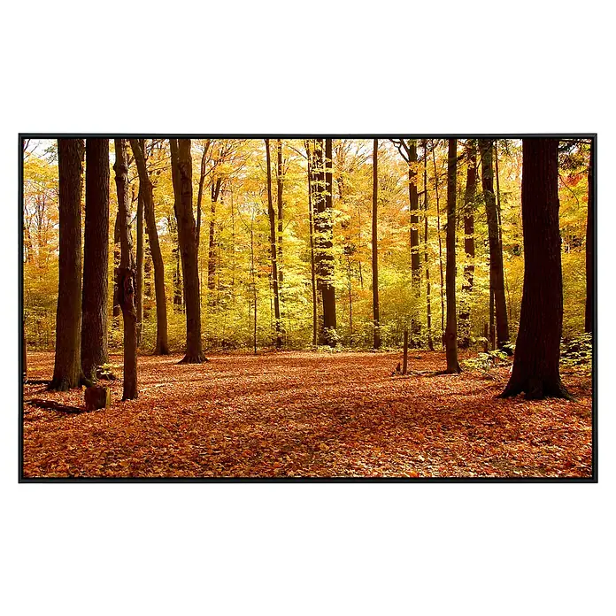 Papermoon Infrarot-Bildheizkörper Herbstwald 2 - 120 x 60 cm, 1.200 W - Herbstwald im vollen Farbspiel. Goldene Blätter bedecken den Boden und verleihen der Szene eine warme, einladende Atmosphäre.