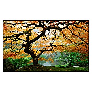 Papermoon Infrarot-Bildheizkörper Herbst Ahornbaum (100 x 60 cm, 600 W)