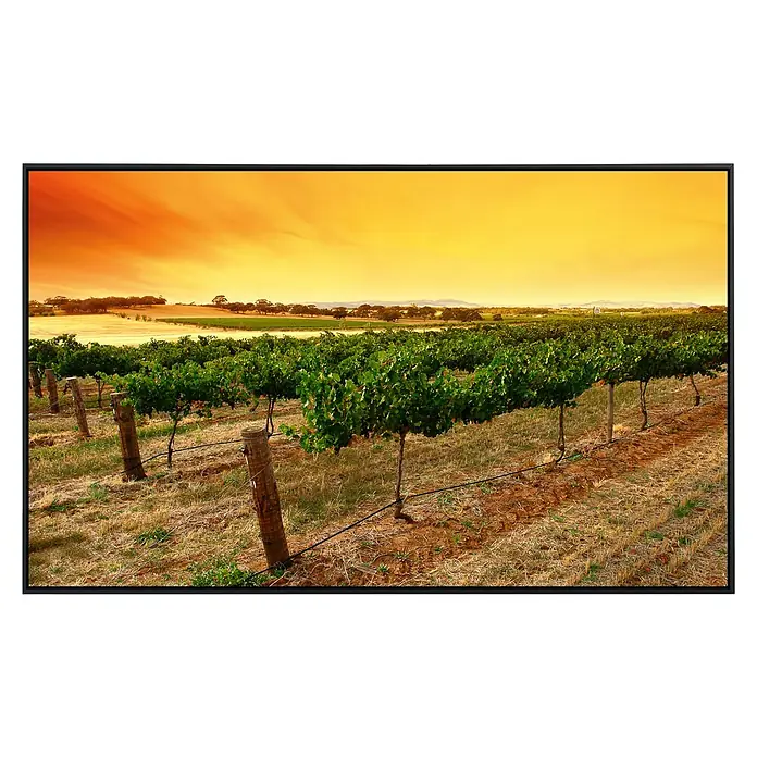 Papermoon Infrarot-Bildheizkörper Weinberg im Sonnenaufgang - 100 x 60 cm, 800 W - Das Foto zeigt einen Weinberg bei Sonnenuntergang. Die Landschaft ist geprägt von Reben, trockenem Gras und einem orangefarbenen Himmel.