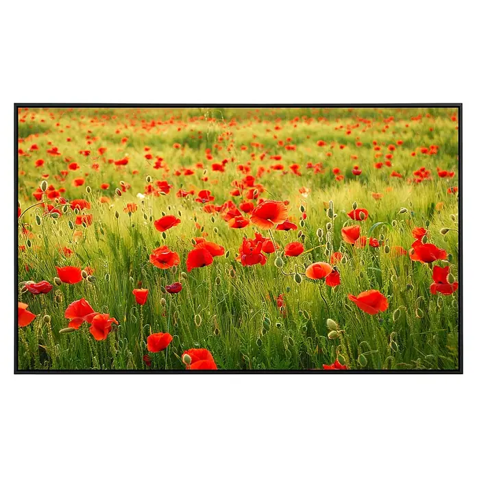 Papermoon Infrarot-Bildheizkörper Mohnfeld - 100 x 60 cm, 600 W - Ein lebendiges Feld voller roter Mohnblumen, umgeben von grünen Gräsern, eingefangen in einem markanten schwarzen Rahmen.