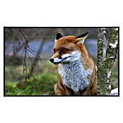 Papermoon Infrarot-Bildheizkörper Roter Fuchs (120 x 75 cm, 900 W) | BAUHAUS