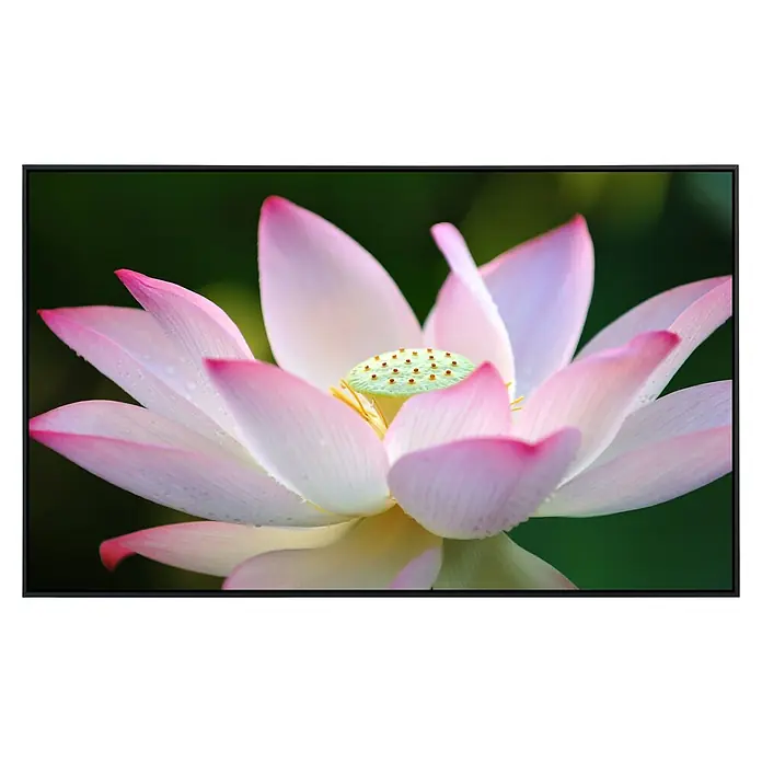 Papermoon Infrarot-Bildheizkörper Lotus Blume 1 - 120 x 60 cm, 1.200 W - Nahaufnahme einer rosa Lotusblume mit grünen Akzenten in einem dunklen Rahmen, die die filigranen Details hervorhebt.