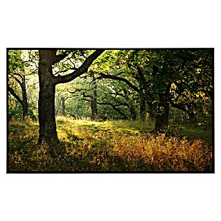 Papermoon Infrarot-Bildheizkörper Morgen Sonnenstrahl (120 x 90 cm, 1.200 W)