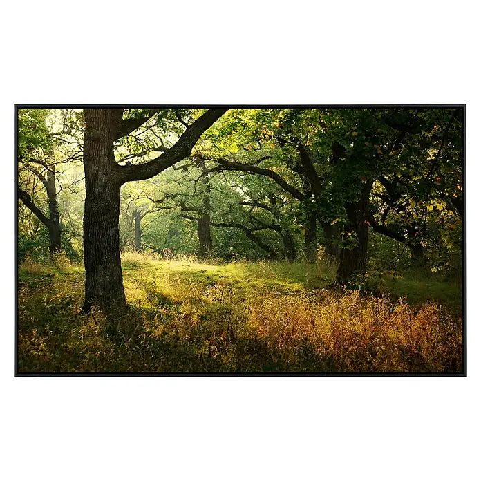 Papermoon Infrarot-Bildheizkörper Morgen Sonnenstrahl - 1.000 x 600 mm, 800 W - Sonnendurchfluteter Waldweg mit alten Bäumen und herbstlichem Gras im warmen Licht. Idyllische Waldlandschaft für Naturliebhaber.