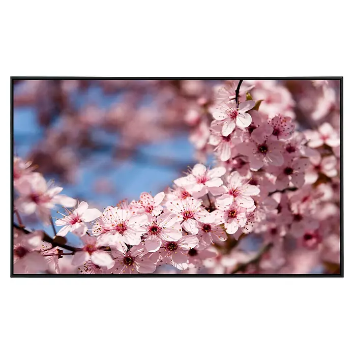 Papermoon Infrarot-Bildheizkörper Frühlingsblumen 1 - 60 x 50 cm, 350 W - Nahaufnahme von Kirschblütenzweigen in Rosa vor einem blauen Himmel, eingefasst in einem schwarzen Rahmen.
