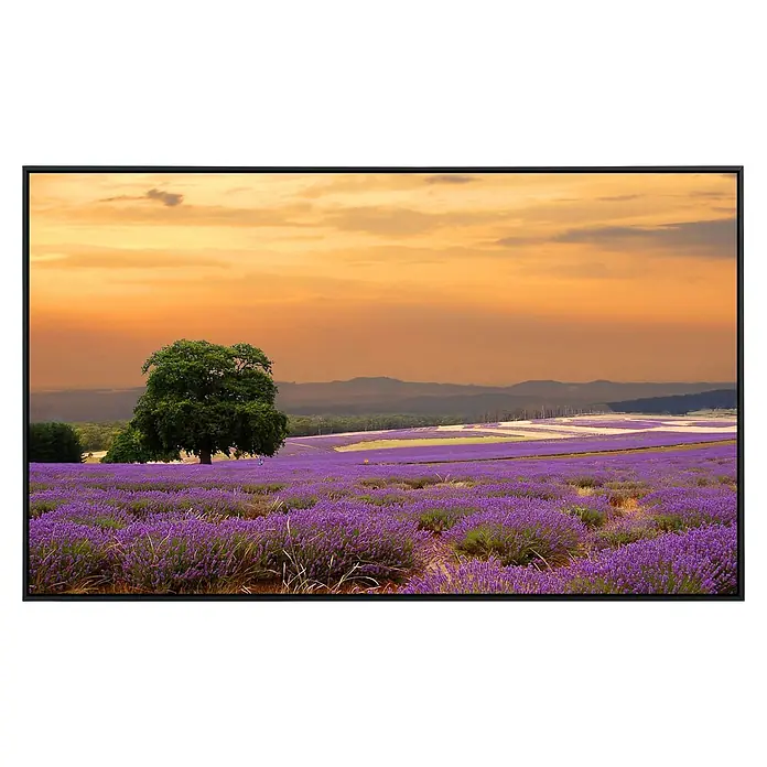 Papermoon Infrarot-Bildheizkörper Lavendelfeld 1 - 120 x 60 cm, 1.000 W - Ein gerahmtes Bild eines Lavendelfeldes bei Sonnenuntergang, das eine friedliche und ruhige Atmosphäre vermittelt.