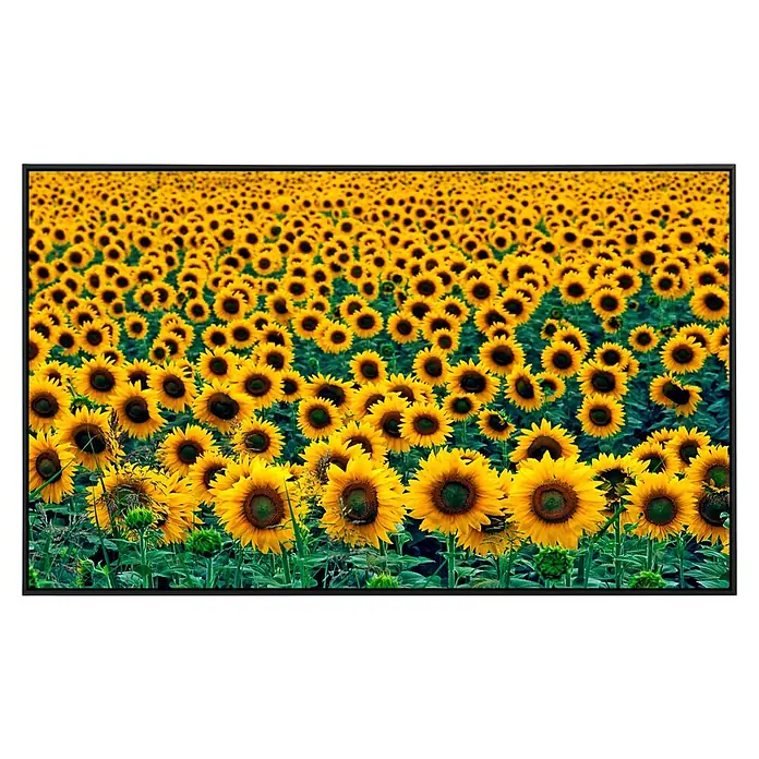 Papermoon Infrarot-Bildheizkörper Feld der Sonnenblumen 1120 x 75 cm, 900 W - Ein atemberaubendes Feld voller leuchtend gelber Sonnenblumen, die sich der Sonne entgegenstrecken, ein wahrer Farbrausch der Natur.