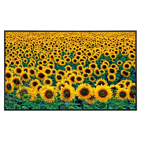 Papermoon  Infrarot-Bildheizkörper Feld der Sonnenblumen 1