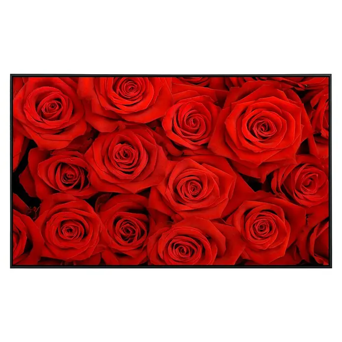 Papermoon Infrarot-Bildheizkörper Rote Rosen - 1.200 x 600 mm, 1.000 W - Nahaufnahme eines Arrangements von roten Rosen, die in einem schwarzen Rahmen präsentiert werden. Perfekt für ein romantisches Geschenk.