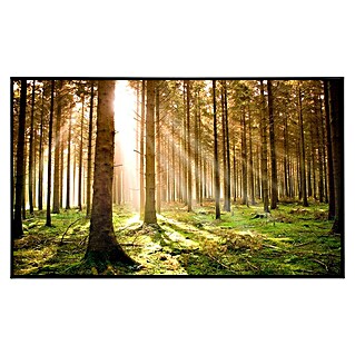 Papermoon Infrarot-Bildheizkörper Herbstkiefernwald (100 x 60 cm, 600 W)