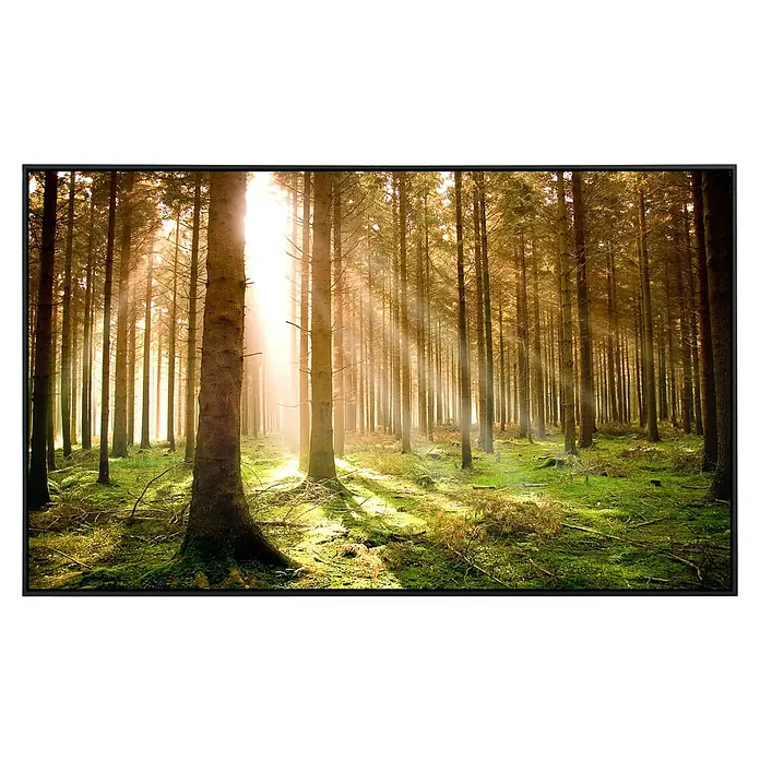 Papermoon Infrarot-Bildheizkörper Herbstkiefernwald - 900 x 500 mm, 450 W - Das stimmungsvolle Waldmotiv mit Sonnenstrahlen bietet eine friedliche und natürliche Wanddekoration im schwarzen Rahmen.