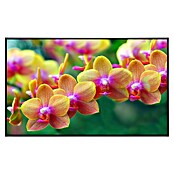 Papermoon Infrarot-Bildheizkörper Goldene Orchideen 2 (90 x 50 cm, 450 W) | BAUHAUS