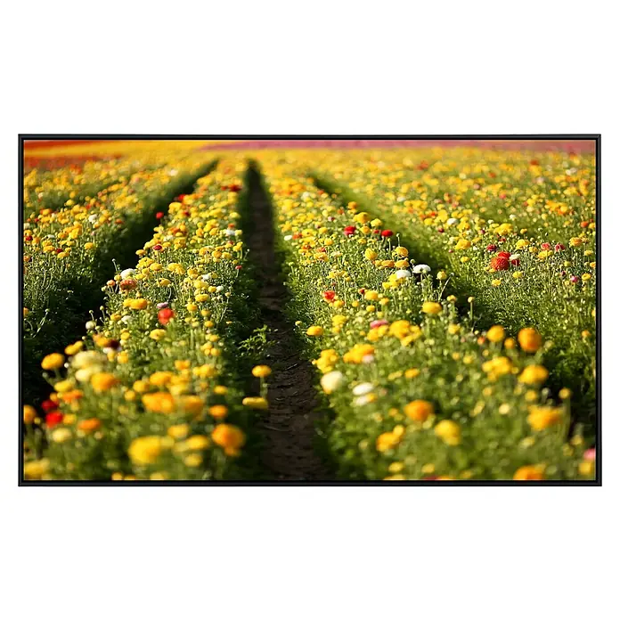 Papermoon Infrarot-Bildheizkörper Blumenfeld in San Diego - 100 cm x 600 mm, 600 W - Blühendes Feld mit gelben und roten Blumen, geteilt durch parallele Pfade.