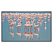 Papermoon Infrarot-Bildheizkörper Flamingos (100 cm x 600 mm, 600 W) | BAUHAUS