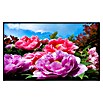 Papermoon Infrarot-Bildheizkörper Tropical Peonies (60 x 50 cm, 350 W) | BAUHAUS