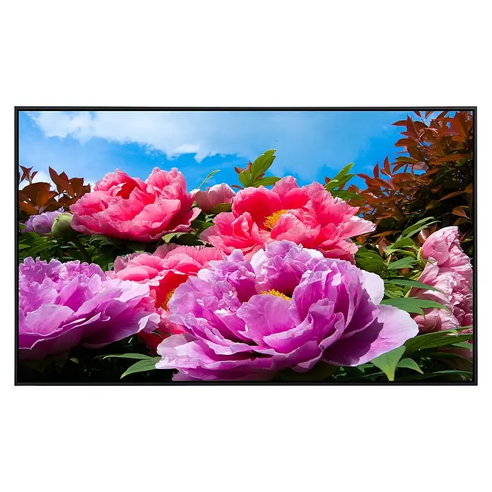 Papermoon Infrarot-Bildheizkörper Tropical Peonies - 90 x 50 cm, 450 W - Nahaufnahme üppiger rosa und violetter Pfingstrosen vor strahlend blauem Himmel, gerahmt von einem modernen schwarzen Rahmen.