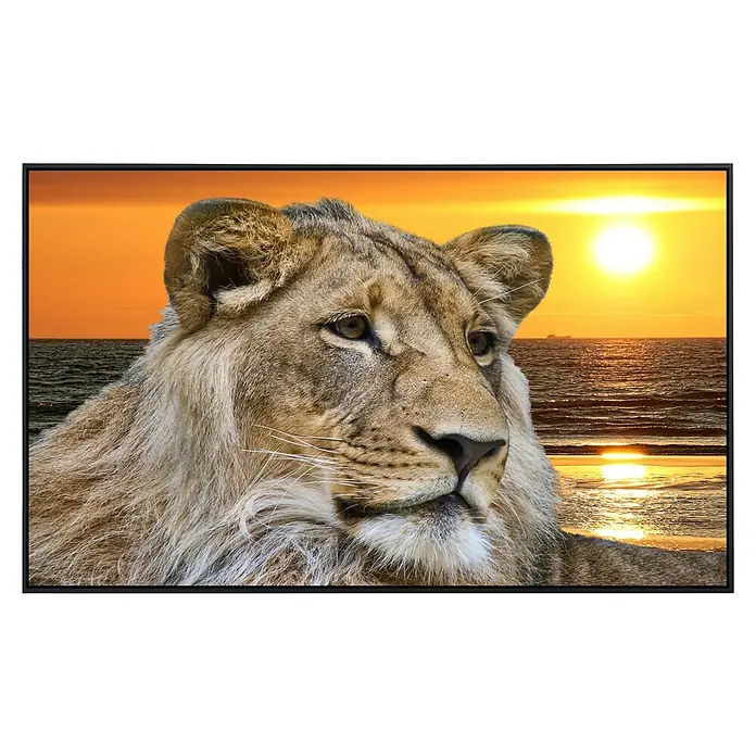 Papermoon Infrarot-Bildheizkörper Löwe im Sonnenuntergang - 60 x 50 cm, 350 W - Nahaufnahme eines Löwen vor einem Sonnenuntergang am Meer, gerahmt als Kunstdruck.