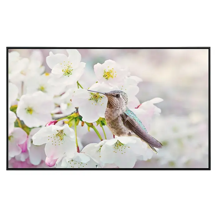 Papermoon Infrarot-Bildheizkörper Cherryblüten - 60 x 50 cm, 350 W - Nahaufnahme eines Kolibris, der auf einem Zweig mit weißen Blüten sitzt. Perfekt für eine ruhige Atmosphäre in jedem Raum.