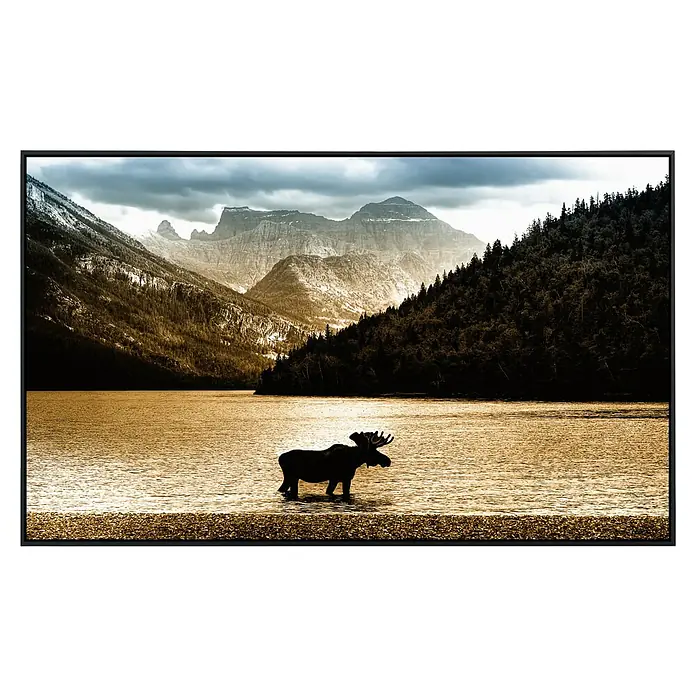 Papermoon Infrarot-Bildheizkörper Elch im Waterton See - 100 x 60 cm, 600 W - Das Bild zeigt einen Elch im See vor einer Bergkulisse, eingefasst in einem eleganten Rahmen. Ideal für Naturliebhaber und zur Dekoration.