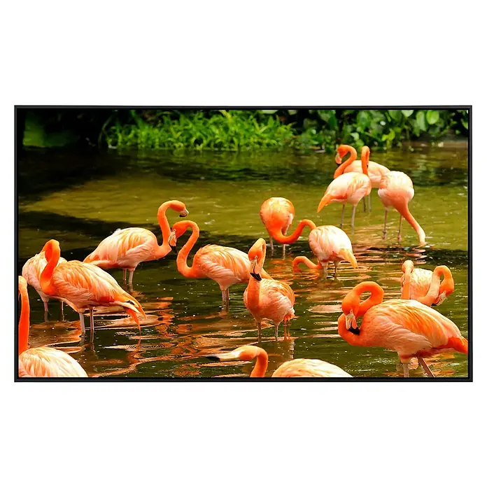 Papermoon Infrarot-Bildheizkörper Rosa Flamingos - 60 x 50 cm, 350 W - Eine Gruppe von Flamingos steht im Wasser, das Gefieder leuchtend rosa und orange. Die Vögel spiegeln sich sanft im ruhigen Wasser.