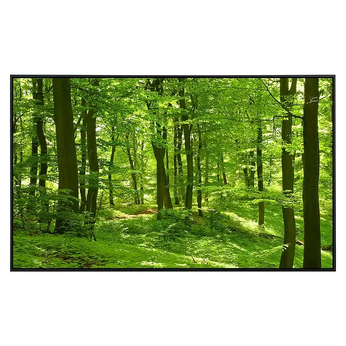 Papermoon Infrarot-Bildheizkörper Deutscher Buchenwald - 90 x 50 cm, 450 W - Sonnendurchfluteter Wald mit üppigem Grün und einem sanften Pfad, der zum Entdecken einlädt. Eine perfekte Szene der Natur.
