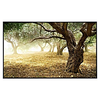 Papermoon Infrarot-Bildheizkörper Alte Olivenbäume (120 x 75 cm, 900 W)