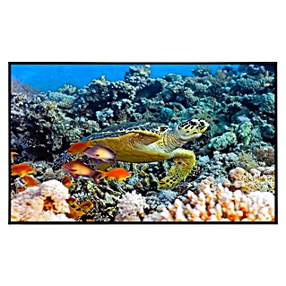 Papermoon Infrarot-Bildheizkörper Meeresschildkröte (60 x 60 cm, 350 W)