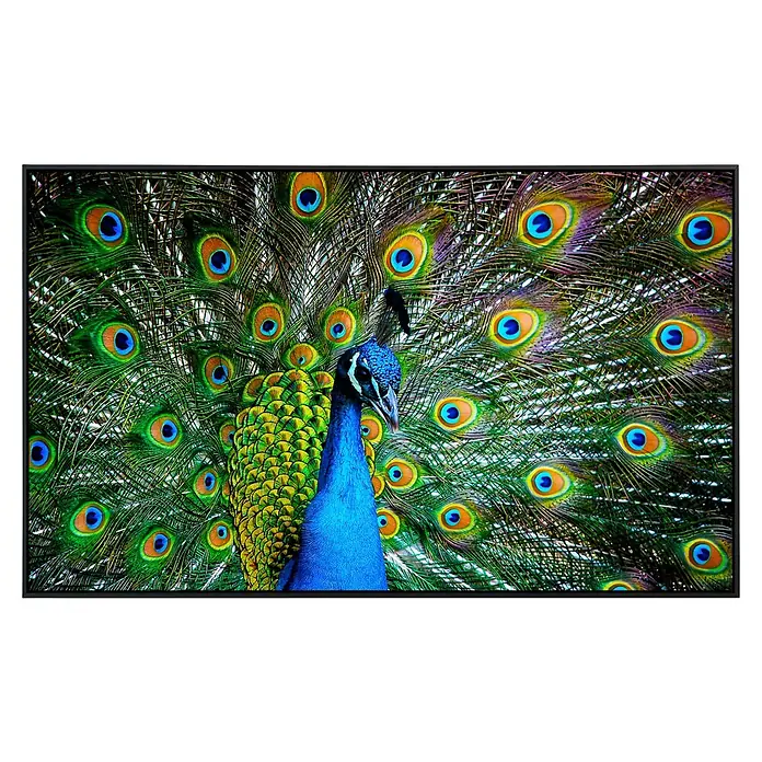 Papermoon Infrarot-Bildheizkörper Pfau - 90 x 50 cm, 450 W - Ein prächtiger Pfau präsentiert sein farbenfrohes Federkleid auf einem hochauflösenden Bildschirm, ein Fest für die Augen.