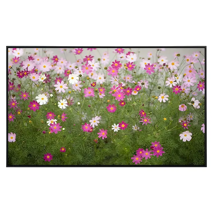 Papermoon Infrarot-Bildheizkörper Kosmosblumen - 60 x 50 cm, 350 W - Farbenprächtige Kosmeenblüten in Rosa- und Weißtönen, die eine ruhige und natürliche Atmosphäre schaffen.
