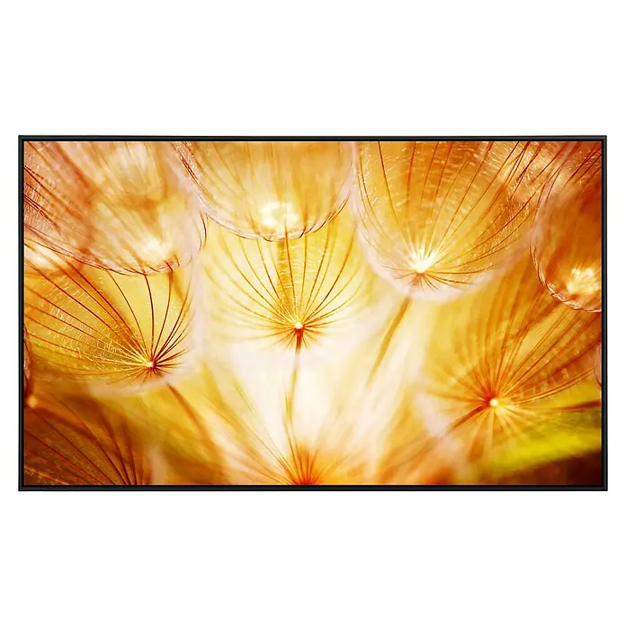 Papermoon Infrarot-Bildheizkörper Weiche Löwenzahnblumen - 90 x 50 cm, 450 W - Ein wunderschönes TV-Gerät mit einem hochauflösenden Bildschirm, das eine Nahaufnahme von Löwenzahnsamen zeigt, die im Licht erstrahlen.