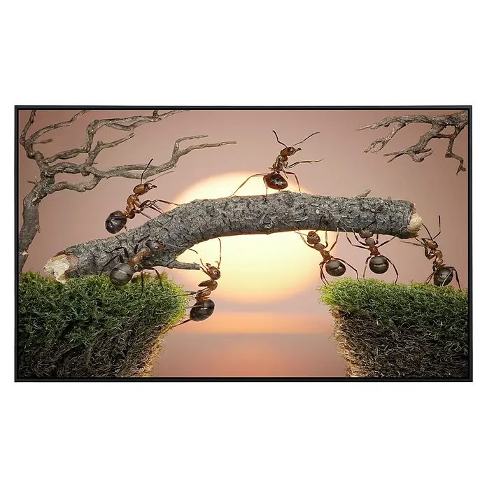Papermoon Infrarot-Bildheizkörper Ameisen Teamwork - 1.200 x 600 mm, 1.200 W - Das Bild zeigt eine Reihe von Ameisen, die einen Stock über eine Lücke tragen, wobei sie auf beiden Seiten von Moos unterstützt werden, und eine Sonne im Hintergrund.