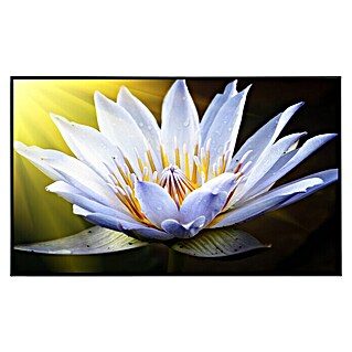 Papermoon Infrarot-Bildheizkörper Lotus Blume 2 (100 x 60 cm, 600 W)