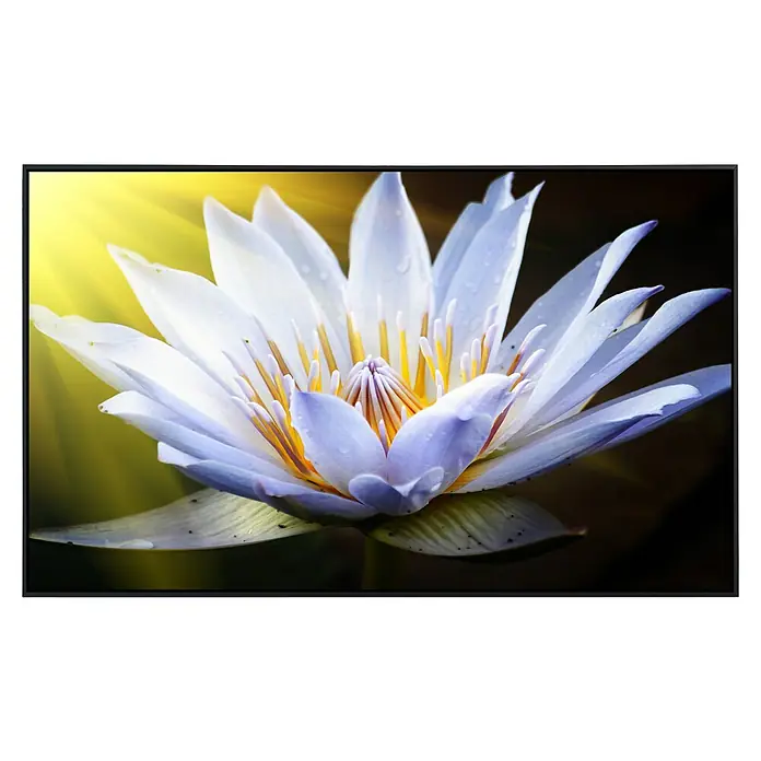 Papermoon Infrarot-Bildheizkörper Lotus Blume 2 - 1.000 x 600 mm, 800 W - Nahaufnahme einer Seerose mit weißen Blütenblättern und gelben Staubgefäßen, die in sanftem Licht erstrahlt.