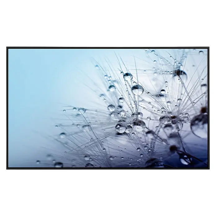 Papermoon Infrarot-Bildheizkörper Samen mit Wassertropfen - 900 x 500 mm, 450 W - Nahaufnahme eines Fernsehbildschirms, der eine Pusteblume mit Tautropfen in schillernden Blautönen zeigt.