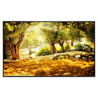 Papermoon Infrarot-Bildheizkörper Olivenbäume (120 x 60 cm, 750 W)