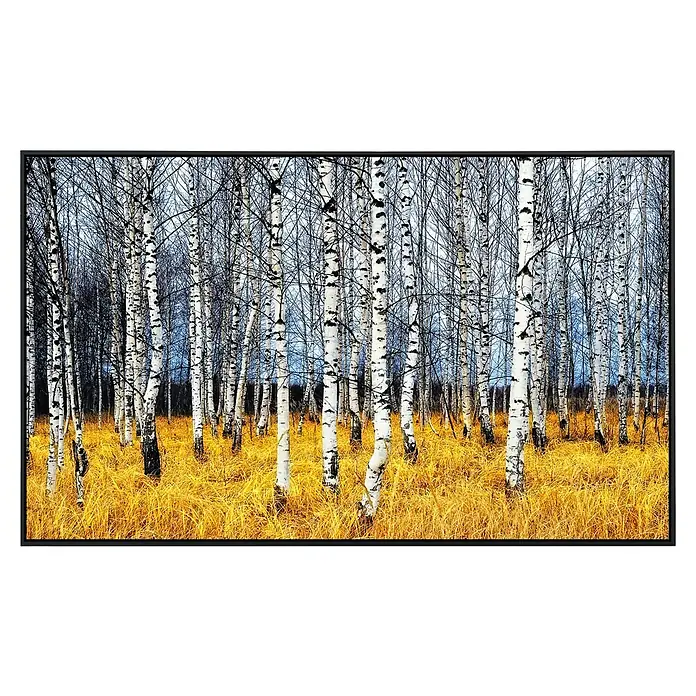 Papermoon Infrarot-Bildheizkörper Herbst Birkenhain - 900 x 500 mm, 450 W - Birkenwald-Druck mit goldenem Gras. Ein ruhiges Kunstwerk, perfekt für Wohnzimmer, Schlafzimmer oder Büro und fängt die Schönheit der Natur ein.