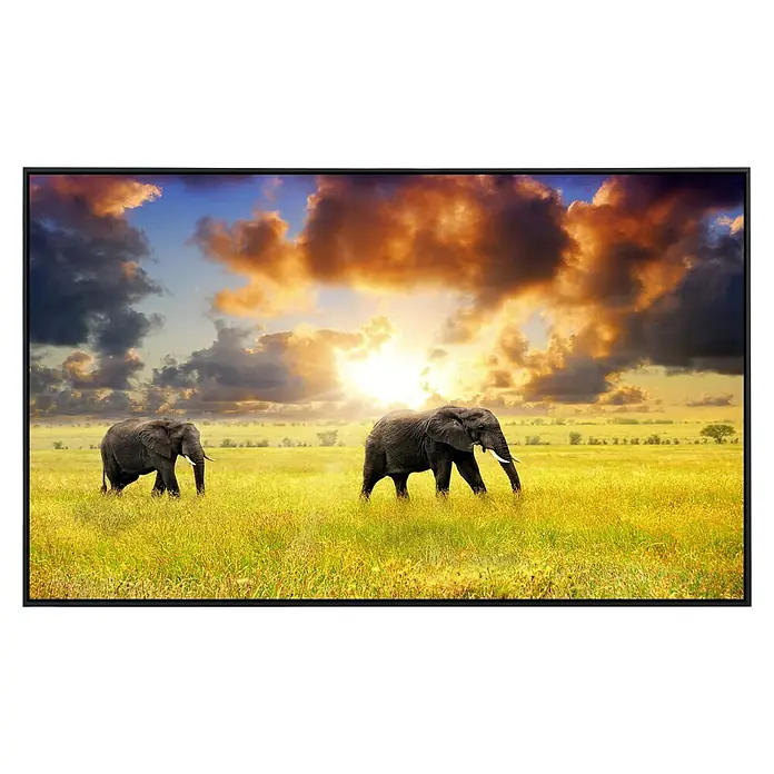Papermoon Infrarot-Bildheizkörper Afrikanische Elefanten - 120 x 60 cm, 1.200 W - Ein gerahmtes Bild von zwei Elefanten in einer weiten Savanne unter einem dramatischen Himmel.