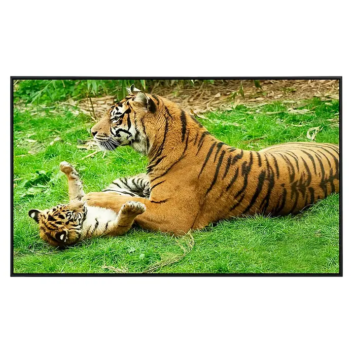 Papermoon Infrarot-Bildheizkörper Tiger mit Baby - 90 x 50 cm, 450 W - Ein Tiger liegt im Gras, während ein Tigerjunges auf dem Rücken liegt und spielt. Beide haben ein orangefarbenes Fell mit schwarzen Streifen.